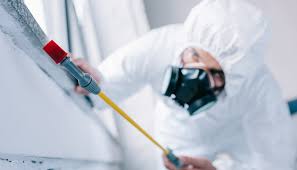 Best Real Estate Pest Inspections  in Whitney, NV